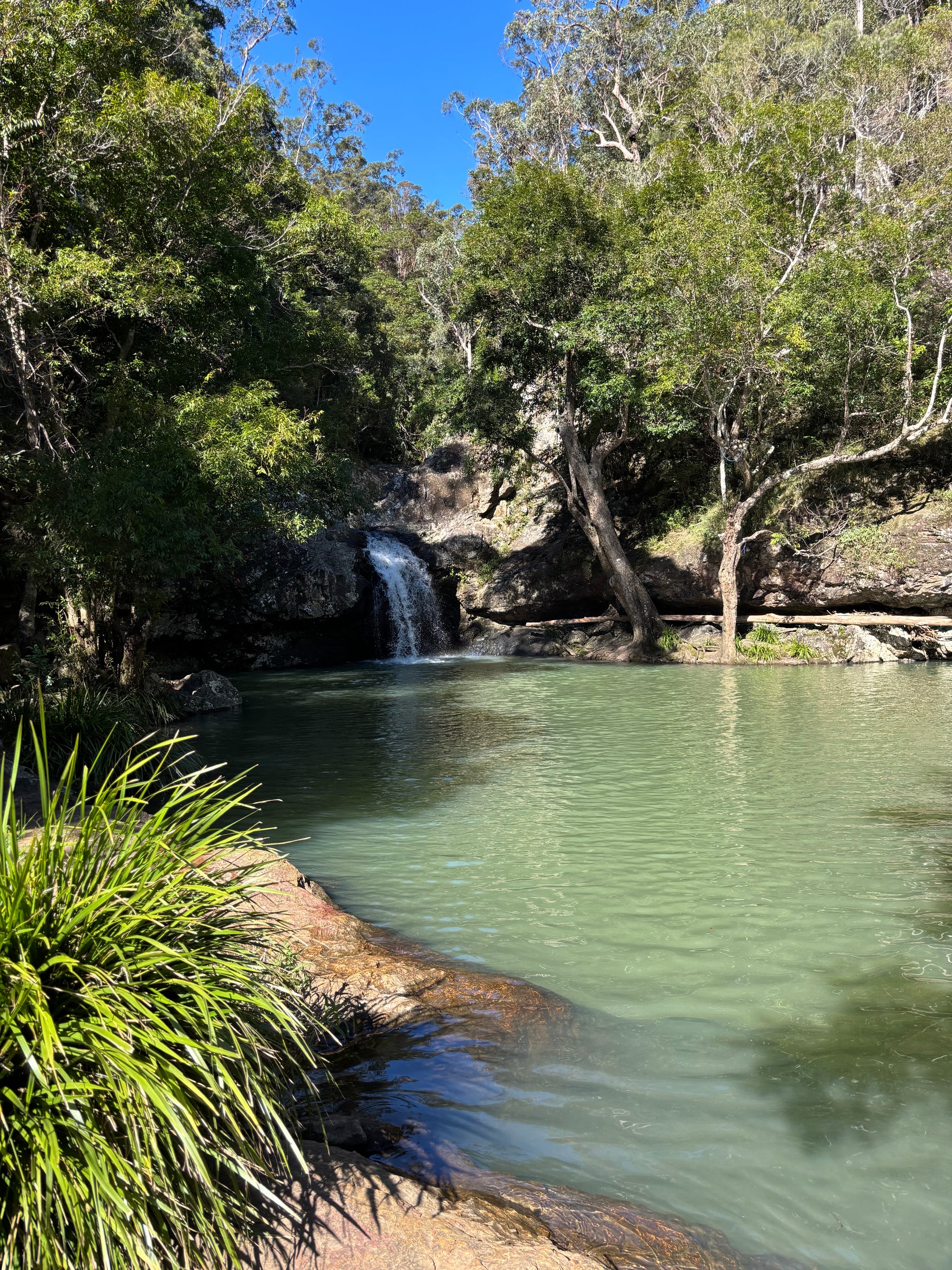 Kondalilla Falls Posana Skincare